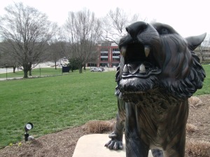 The Towson Tiger on a cold day in March.  Photo by Brian Hradsky